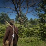 Red Dead Redemption 2 Dreamcatcher Locations Guide