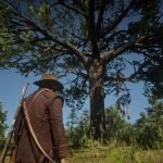 Red Dead Redemption 2 Dreamcatcher Locations Guide