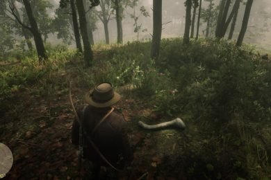 Red Dead Redemption 2 Dinosaur Bones Guide