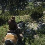 Red Dead Redemption 2 Dinosaur Bones Guide