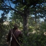 Red Dead Redemption 2 Dreamcatcher Locations Guide