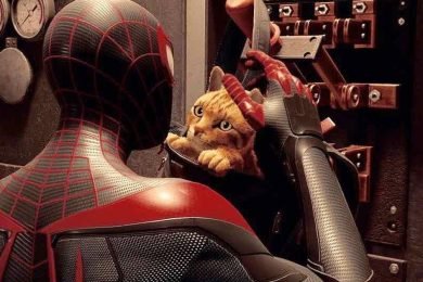 Miles Morales Spider Cat